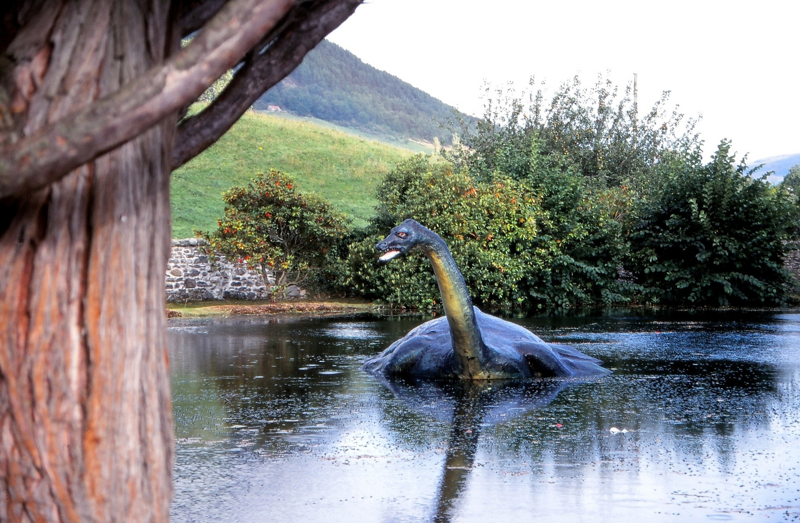 "Nessie" vom Loch Ness