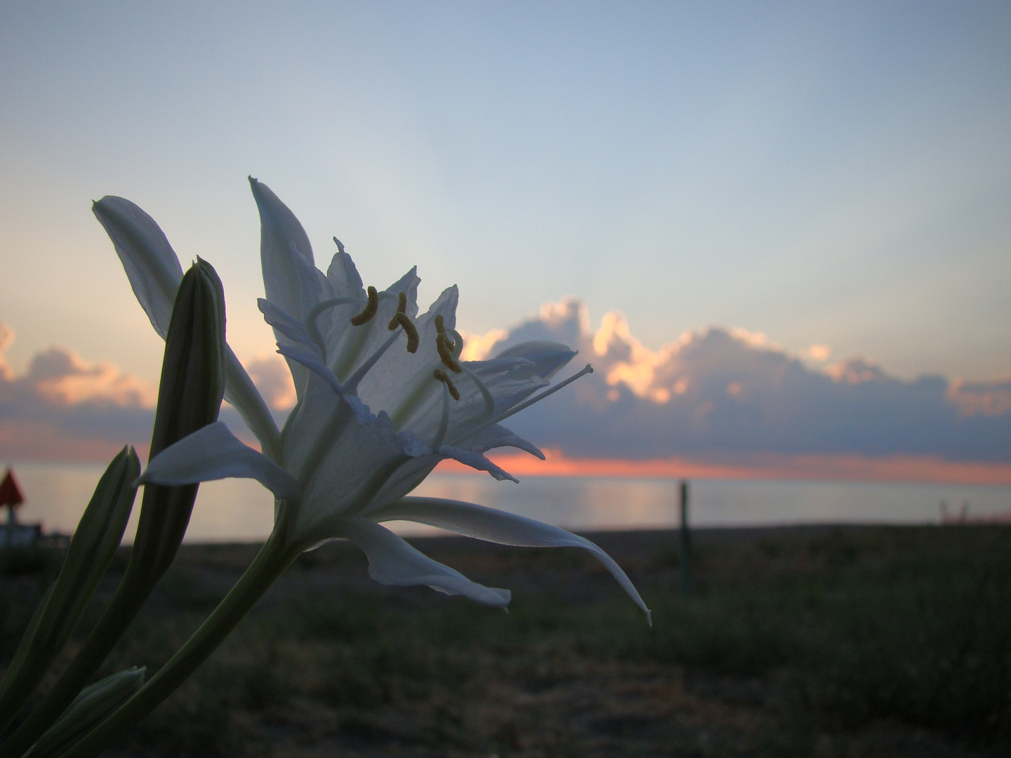 Nessun'Alba è uguale ad un'altra...