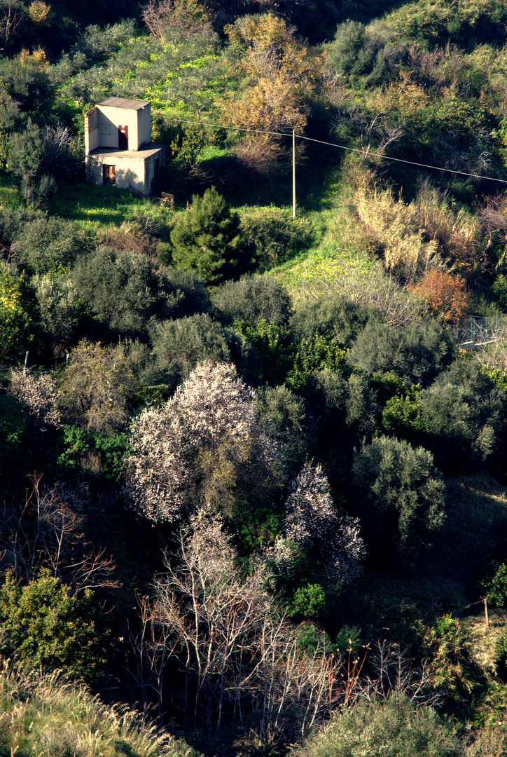 Nessuno ti guarda piu'