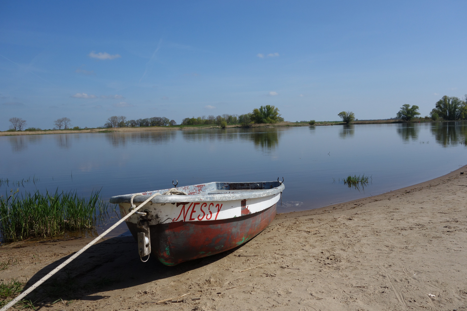 Nessy am Elbestrand