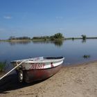 Nessy am Elbestrand