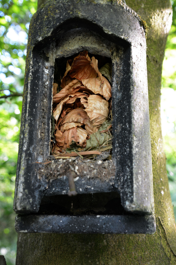 Nest der Haselmaus im Fledermauskasten