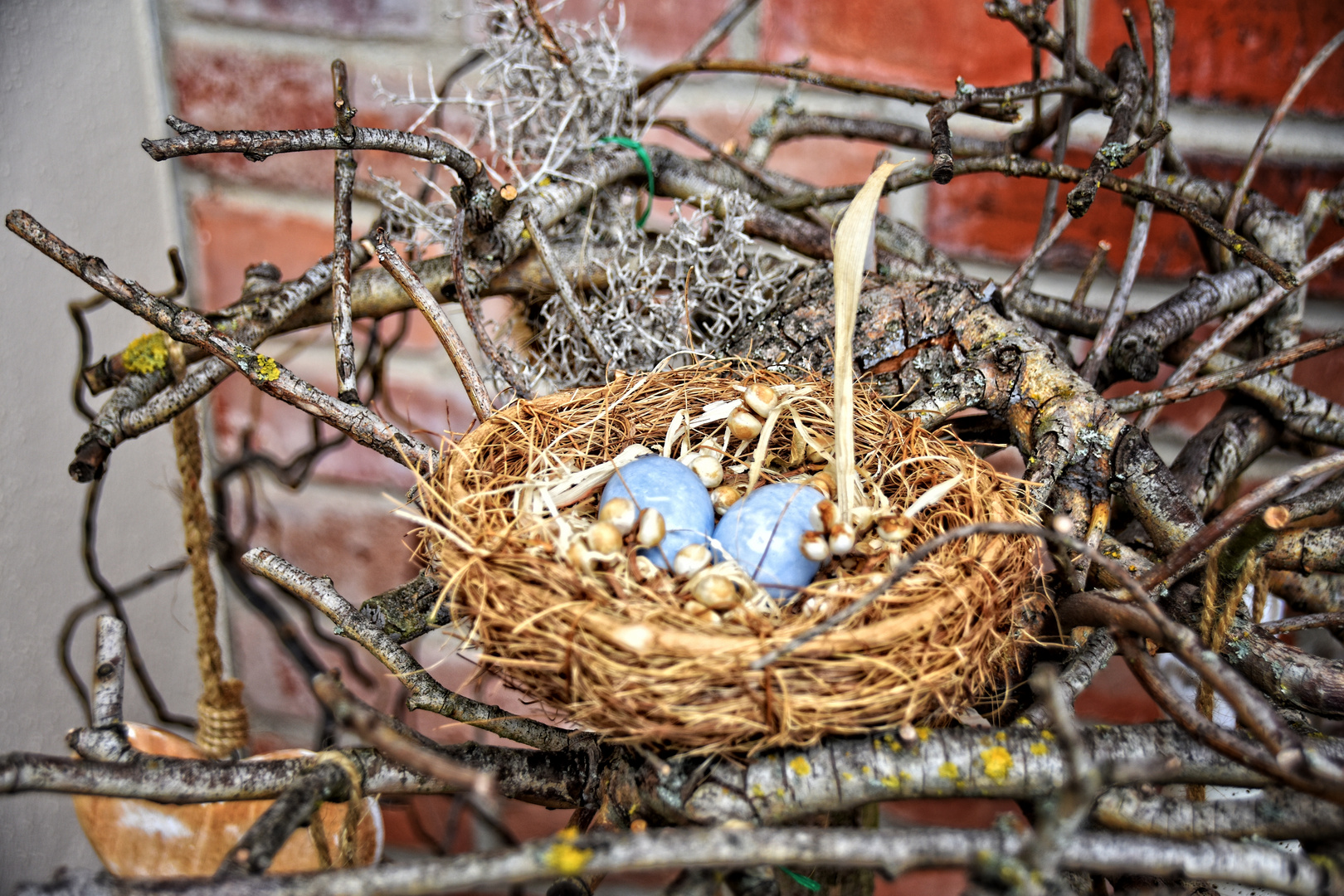 Nest mit Eiern vor der Gaststätte "Firlefanz" in Fürstenhagen