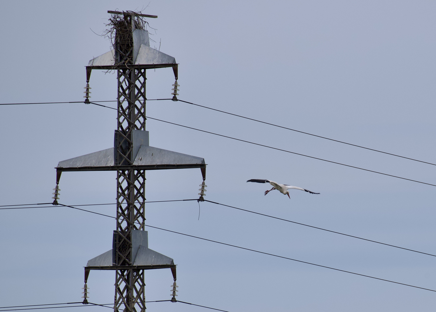 Nestbau mit Energieversorgeranschluss