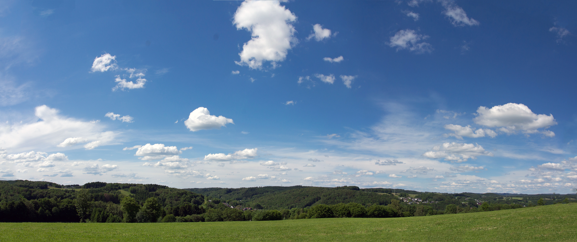 Nester im Grünen