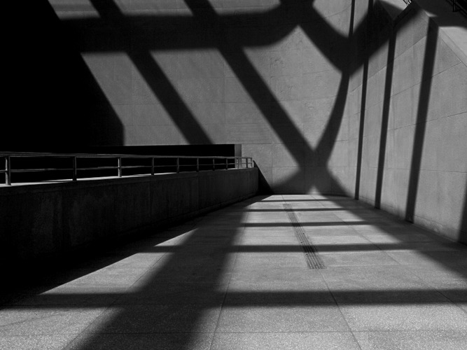 net of light and shadow II