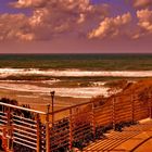 NETANYA BEACH