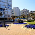 NETANYA BEACH GARDEN