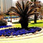 NETANYA BEACH PROMENADE