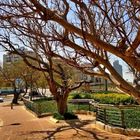 NETANYA BEACH PROMENADE