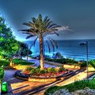 NETANYA COAST GARDEN