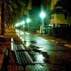 NETANYA GARDEN IN NIGHT