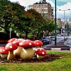 NETANYA -RAIN DAY 23-11-12