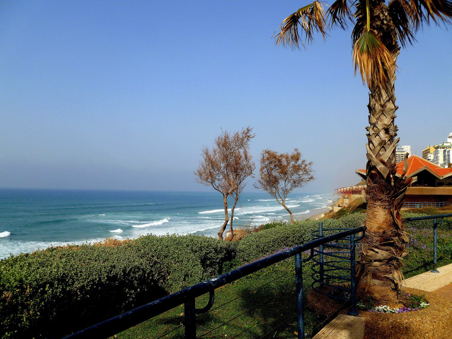 NETANYA SEA 27-01-13