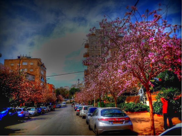 NETANYA -SPRING