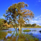 NETANYA -THE WINTER LAKE