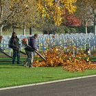  Netherlands American Cementery and Memorial