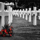 Netherlands American Cemetery and Memorial .........