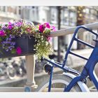 *** Netherlands- Bikes and Flowers***