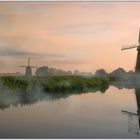 Netherlands morning mist