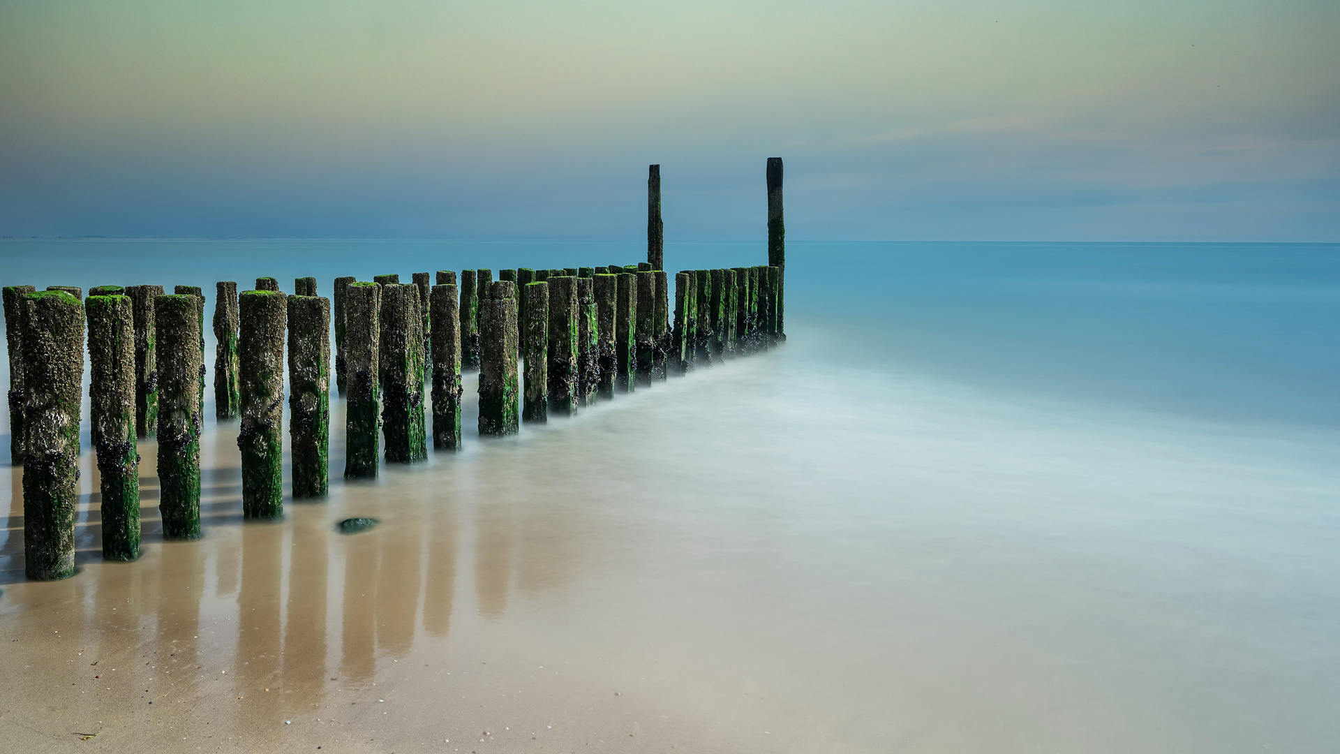 Netherlands Vlissingen Bune