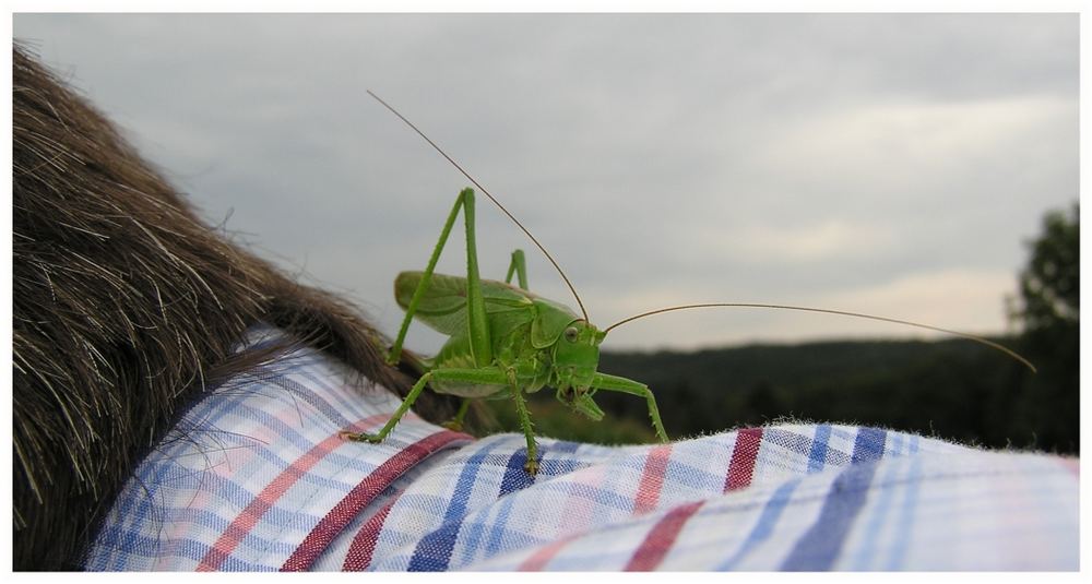 Nette Bekanntschaft