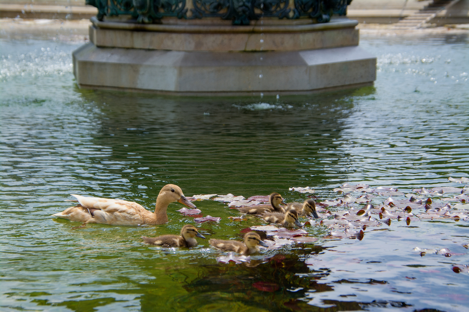 Nette Familie aus Wien