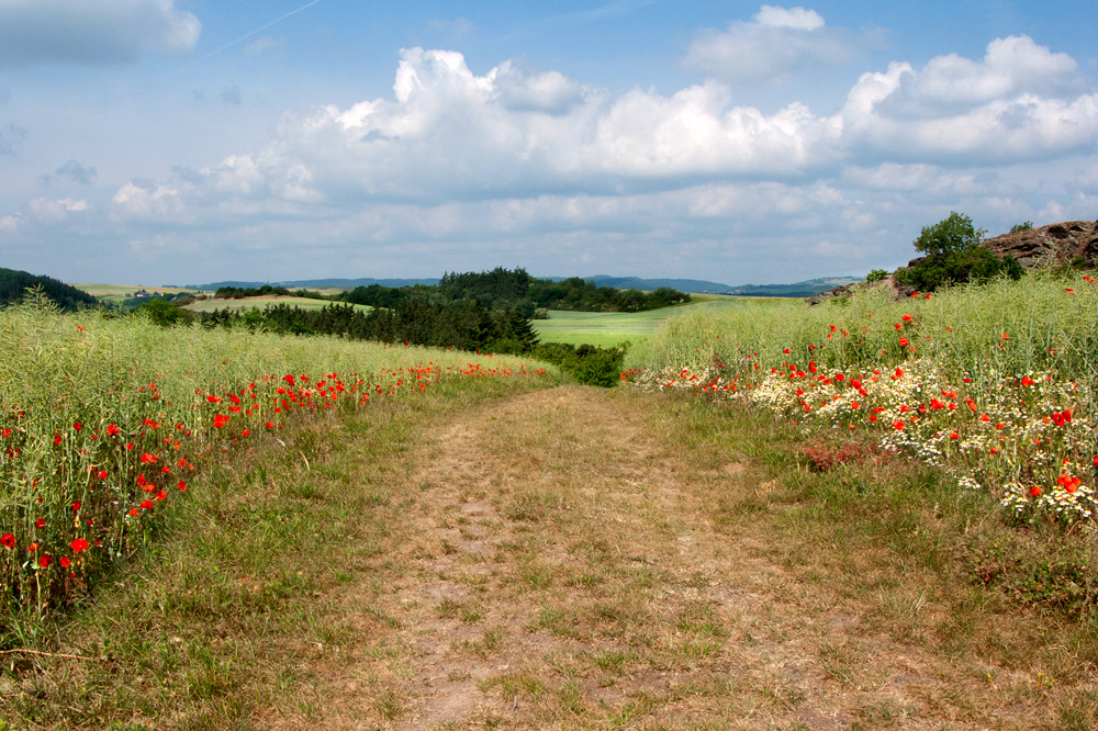 Nette-Schieferpfad (1)