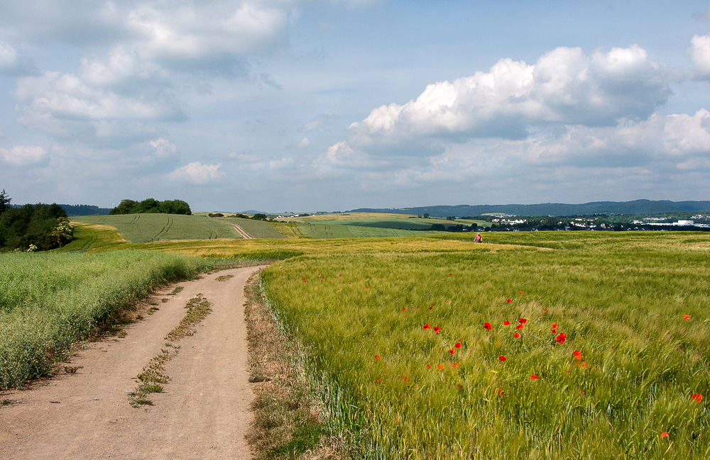 Nette-Schieferpfad (2)