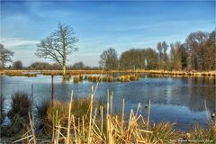 Nettebruch am linken Niederrhein ....