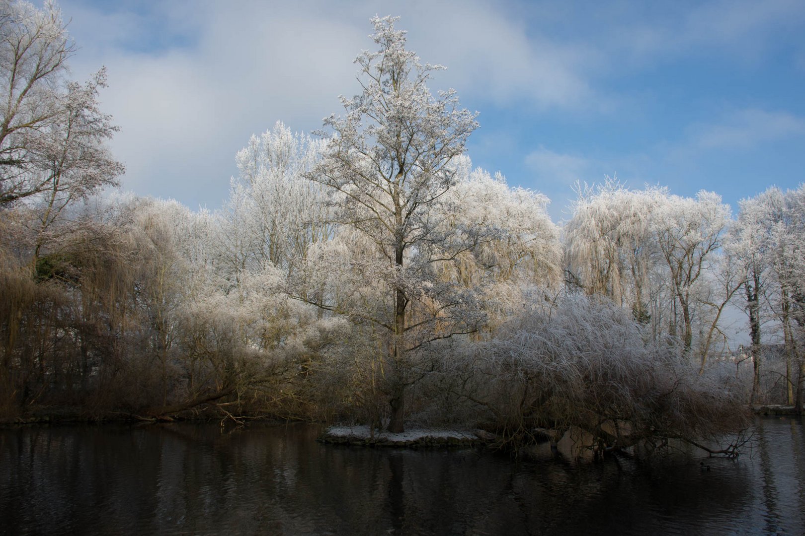 Nettepark in Plaidt 1