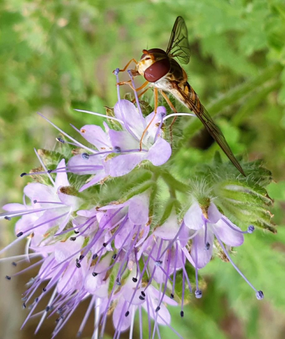 Netter Besuch :-) 