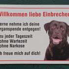 Netter Hund.... 