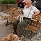 Netter Mann mit Hund in Berlin