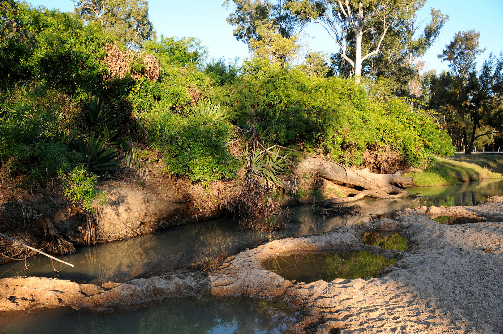 Nettle Creek