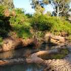 Nettle Creek