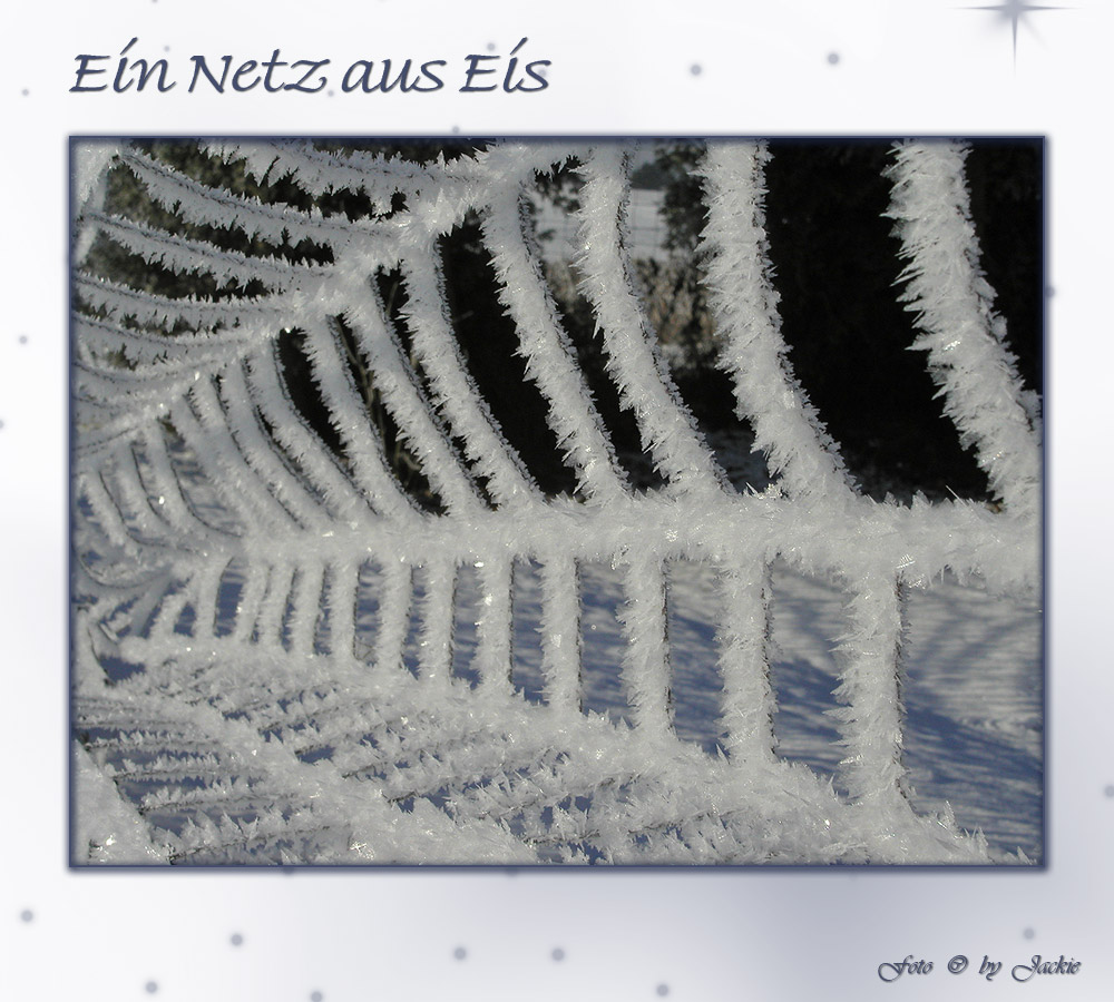 Netz aus Eis