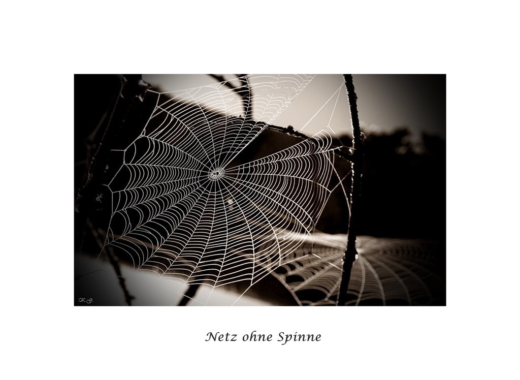 Netz ohne Spinne