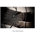 Netz ohne Spinne