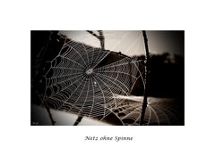 Netz ohne Spinne