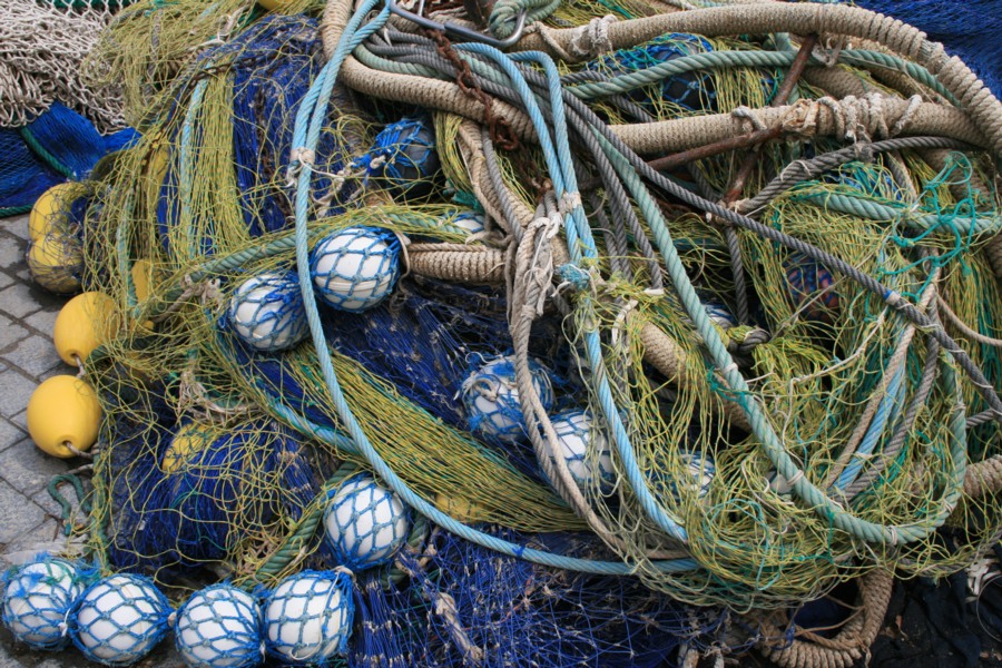 Netz-/Tauesalat an Fischereipause