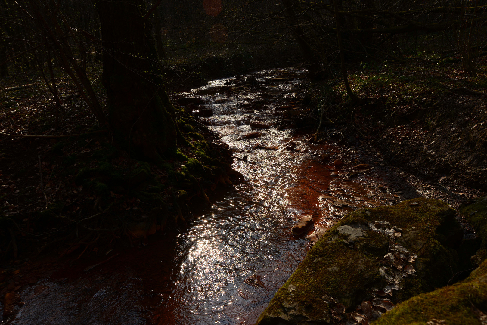 Netzbachtal