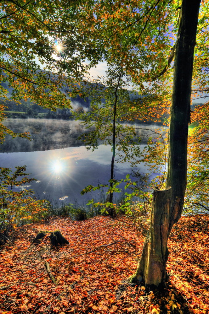 Netzbachweiher II