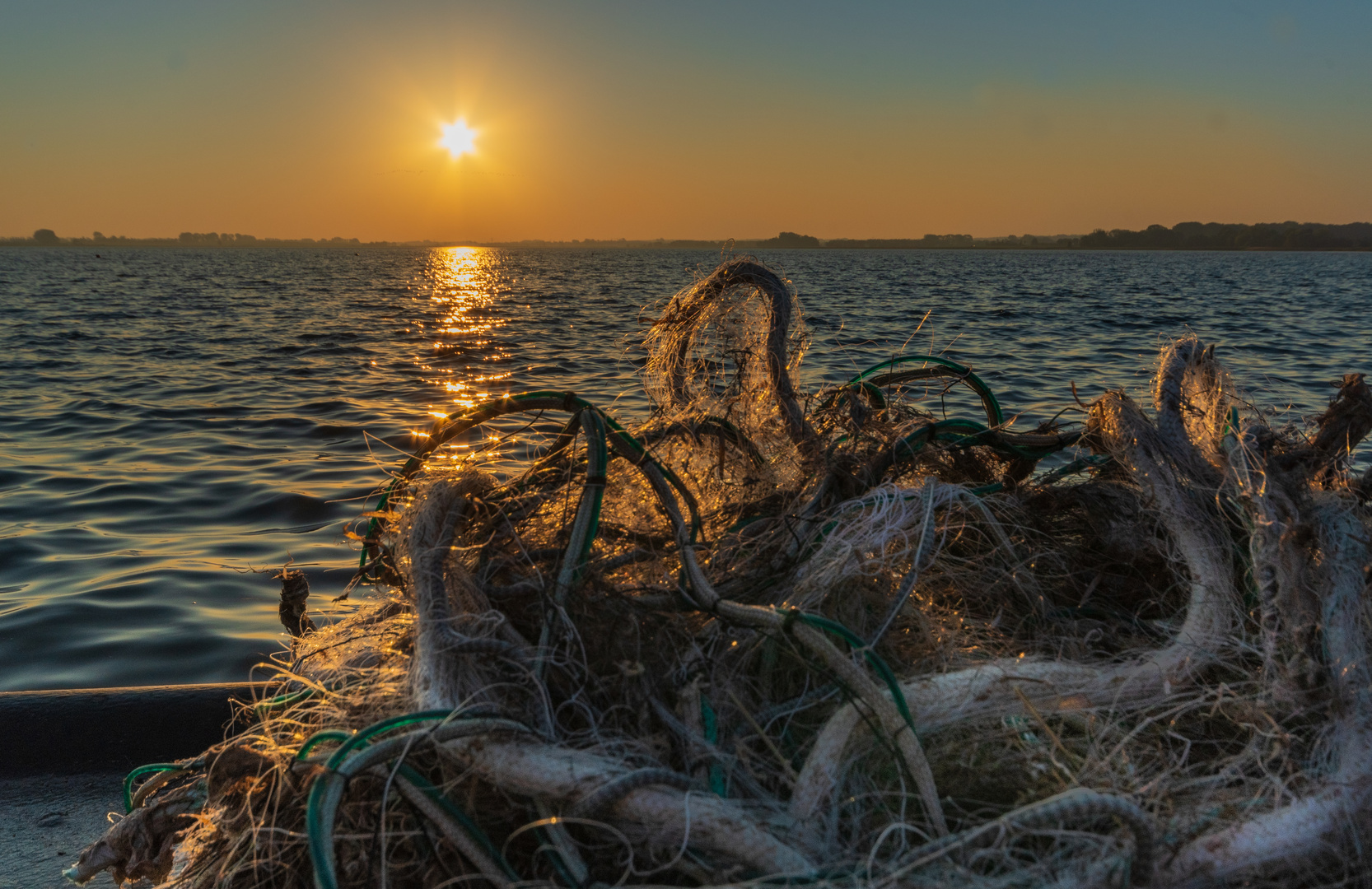 Netze am Bodden zum Sonnenaufgang