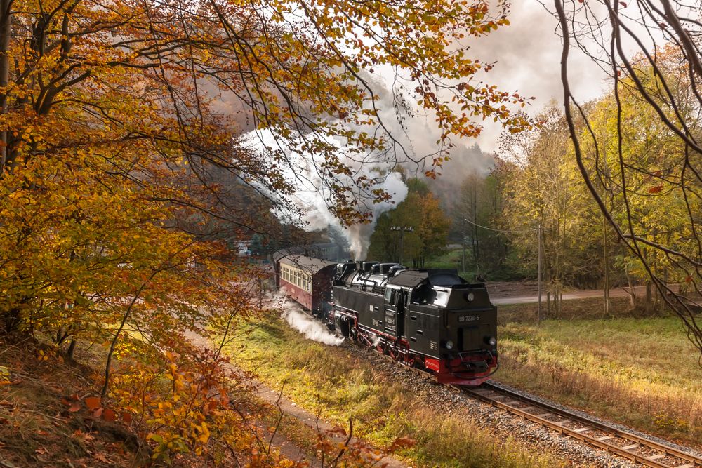 Netzkater, 99 7236-5