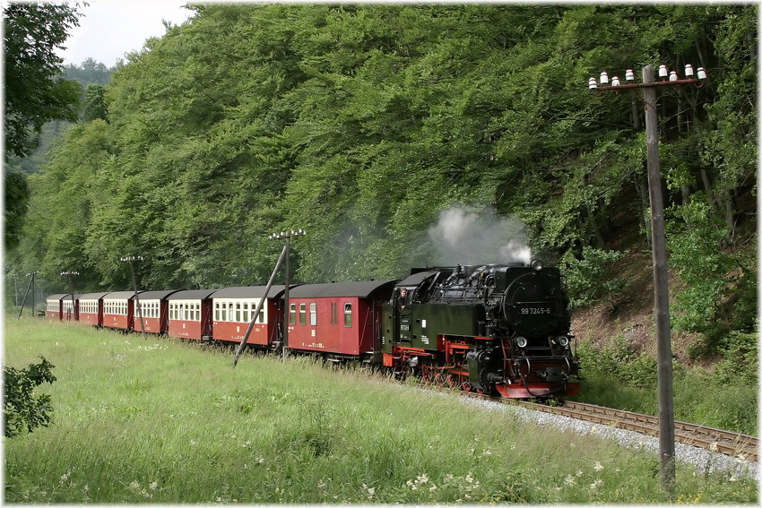 Netzkater Der Sommer Foto & Bild motive, bus & nahverkehr, verkehr