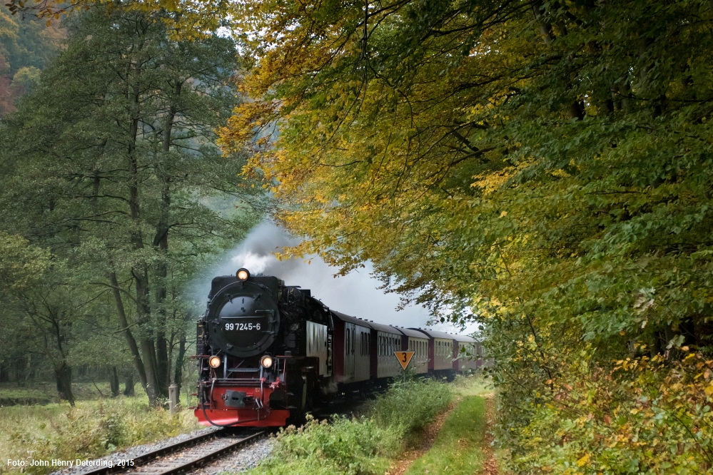 Netzkater im Herbst