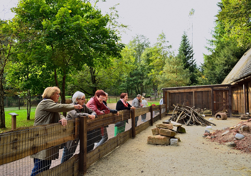 Netzwerk Ausflug in den Vogelpark Steinen 2.10.13