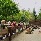 Netzwerk Ausflug in den Vogelpark Steinen 2.10.13