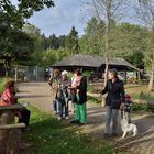 Netzwerk Ausflug in den Vogelpark Steinen 2.10.13 Nr.10